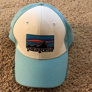 Brand New Patagonia Trucker Hat